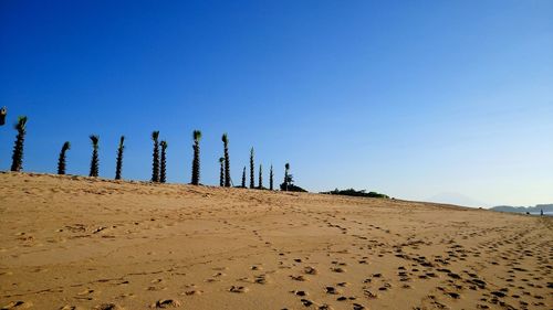 Low angle view of beach against clear blue sky