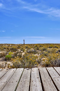 Man standing on wood against sky