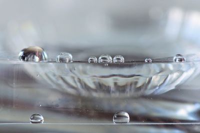 Close-up of water drop