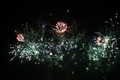 Low angle view of firework display at night