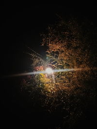 Low angle view of firework display at night