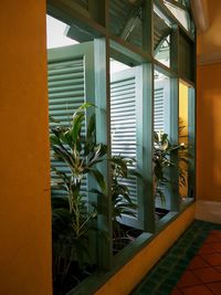 Potted plants seen through window of building