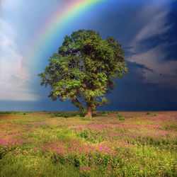 Scenic view of landscape against cloudy sky