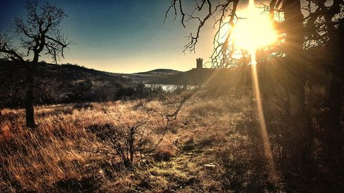 Scenic view of landscape against sky during sunset