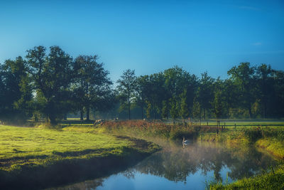 Scenic view of lake by trees against sky
