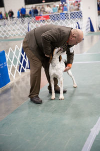 Full length of men with dog on floor