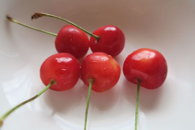 Close-up of cherries on plant