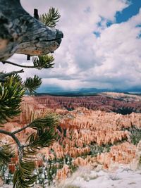 Scenic view of landscape against cloudy sky