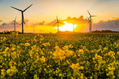 Scenic view of field against yellow sky