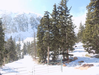 Scenic view of snow covered landscape