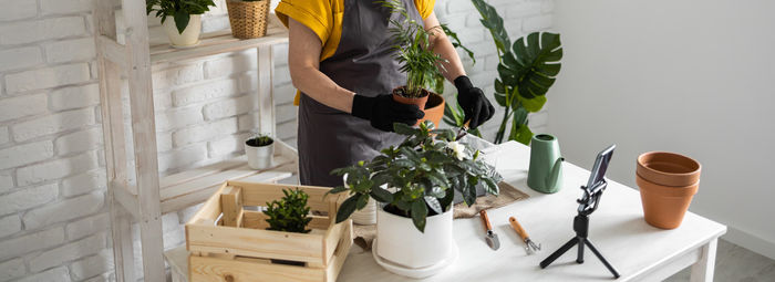 Midsection of woman holding potted plant