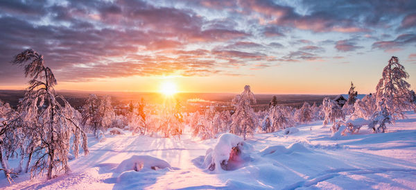 Scenic view of snow covered field against sky during sunset