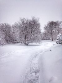 Scenic view of snow covered landscape