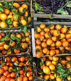 Full frame shot of fruits for sale at market stall