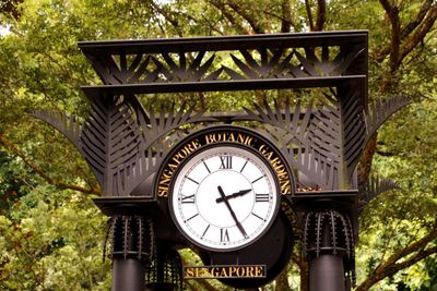Low angle view of clock on tree