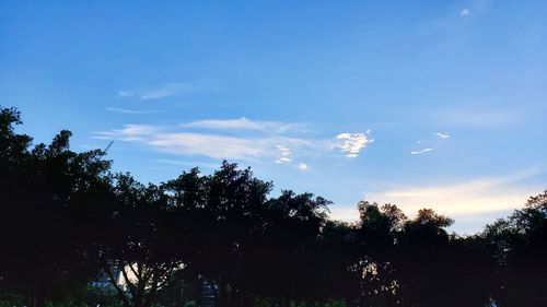 Low angle view of silhouette trees against sky