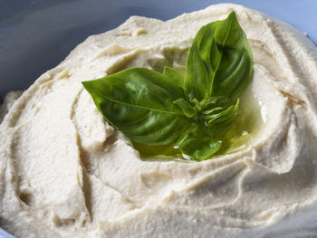 Close-up of fresh chick-pea hummus in bowl