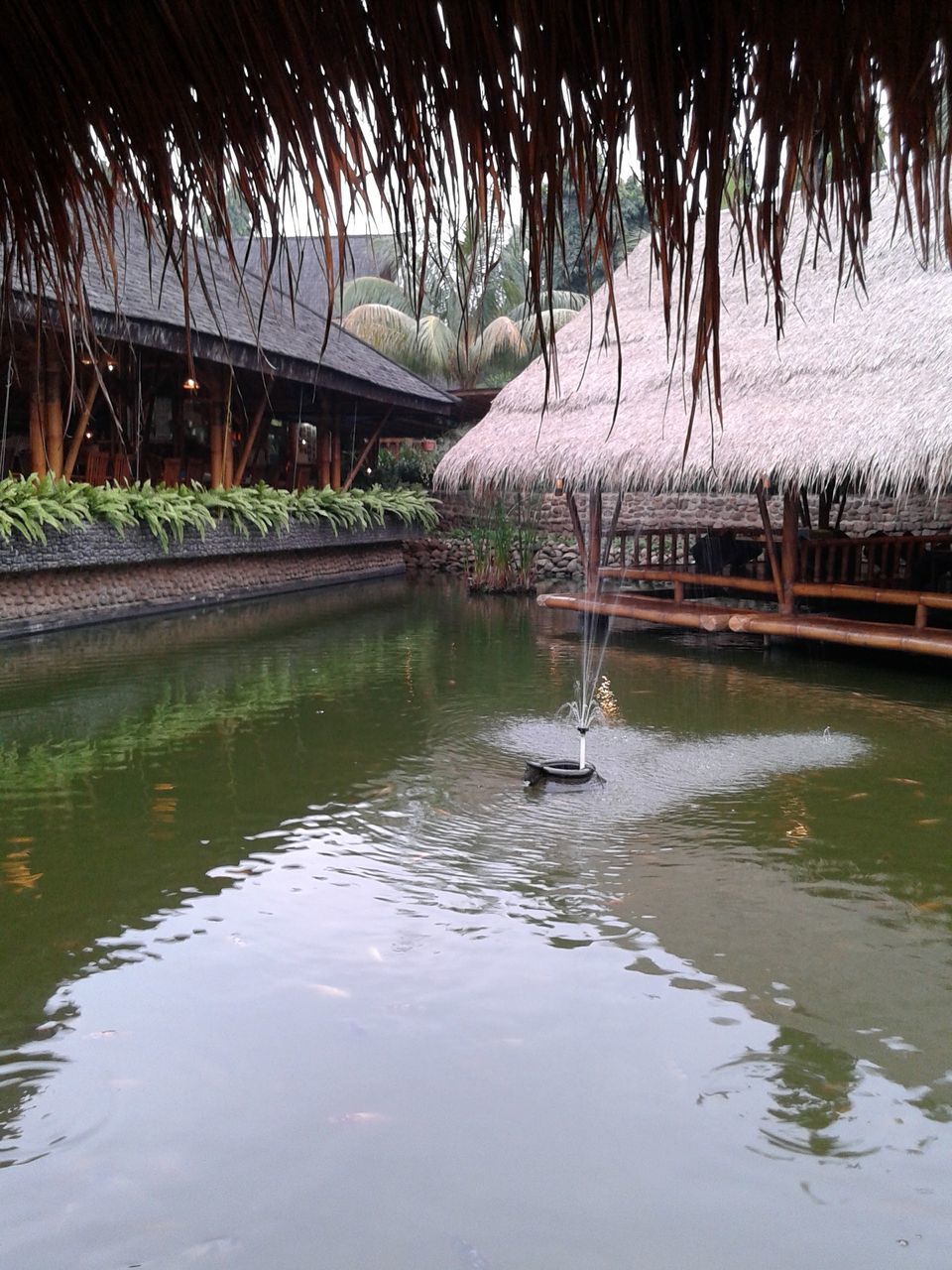 water, reflection, river, nature, architecture, no people, tree, plant, built structure, day, beauty in nature, outdoors, animal, animal themes, waterfront, tranquility, animal wildlife, bird, environment