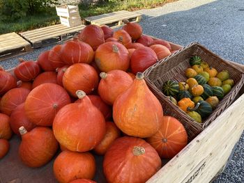 Farmers pumpkin sale