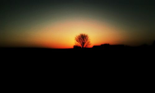 Silhouette trees on landscape at sunset