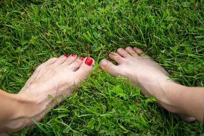 Cropped image of woman hand on grass