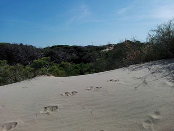 Scenic view of beach against sky