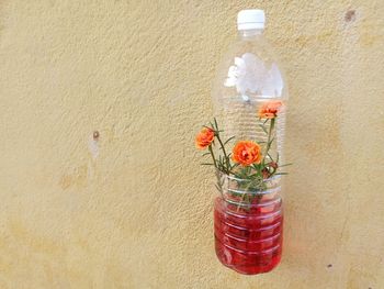 Close-up of glass bottle against wall