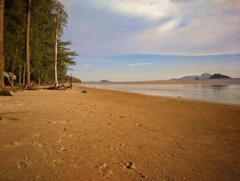 Scenic view of beach against sky