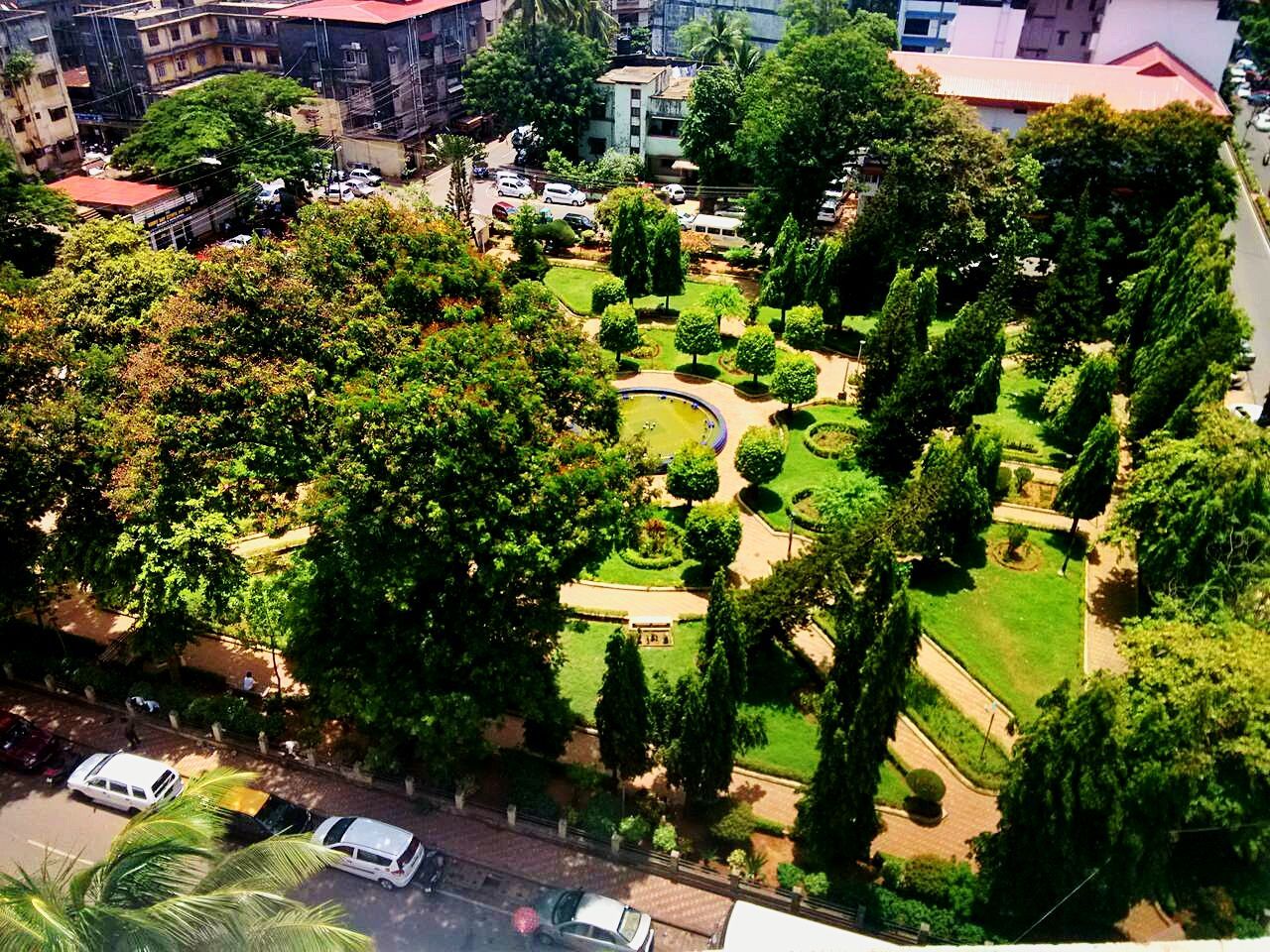 tree, building exterior, architecture, built structure, car, green color, city, high angle view, growth, land vehicle, transportation, incidental people, mode of transport, street, residential building, city life, road, outdoors, day, residential structure