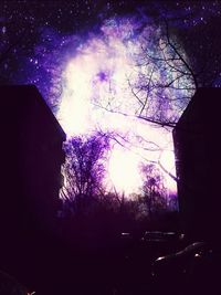 Low angle view of illuminated tree against sky