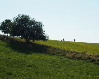 People on grassy field against clear sky