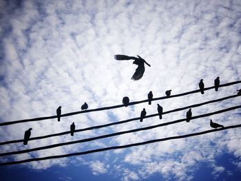 Low angle view of silhouette birds flying against sky