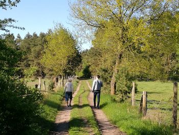 Rear view of people walking on footpath amidst trees