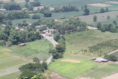 High angle view of trees and buildings on field