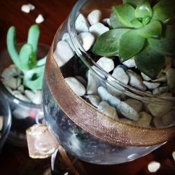 Close-up of food in glass container