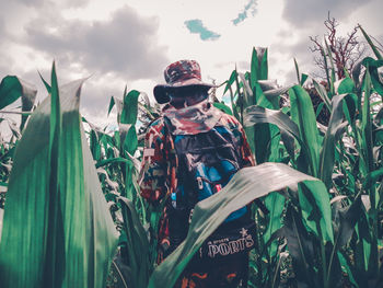 Panoramic view of plants against sky