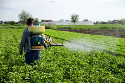 A farmer sprays chemicals on a potato plantation field. increased harvest. control of use chemicals