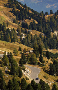 High angle view of road amidst trees in forest