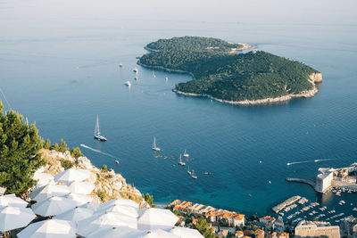 High angle view of sea and trees