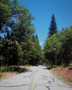 Road amidst trees against clear blue sky