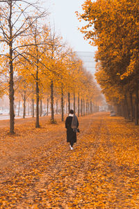 Rear view of man walking on autumn trees