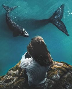 Rear view of fish swimming in sea