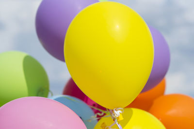 Close-up of multi colored balloons