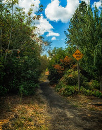 Road passing through landscape