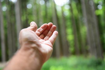 Cropped hand against trees