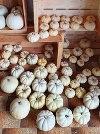 High angle view of mushrooms