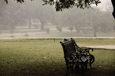 Close-up of grass in park