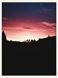 Silhouette of trees against dramatic sky