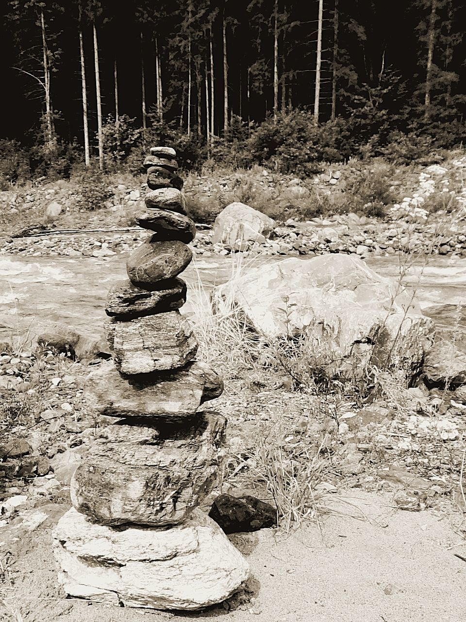 STACK OF STONES IN FOREST