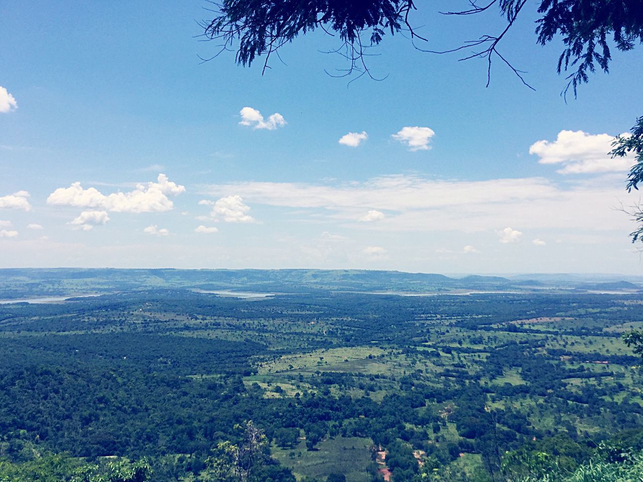 nature, beauty in nature, landscape, tranquility, tranquil scene, scenics, sky, cloud - sky, tree, agriculture, day, field, outdoors, no people, aerial view, blue, rural scene, growth, patchwork landscape, horizon, scenery, view into land